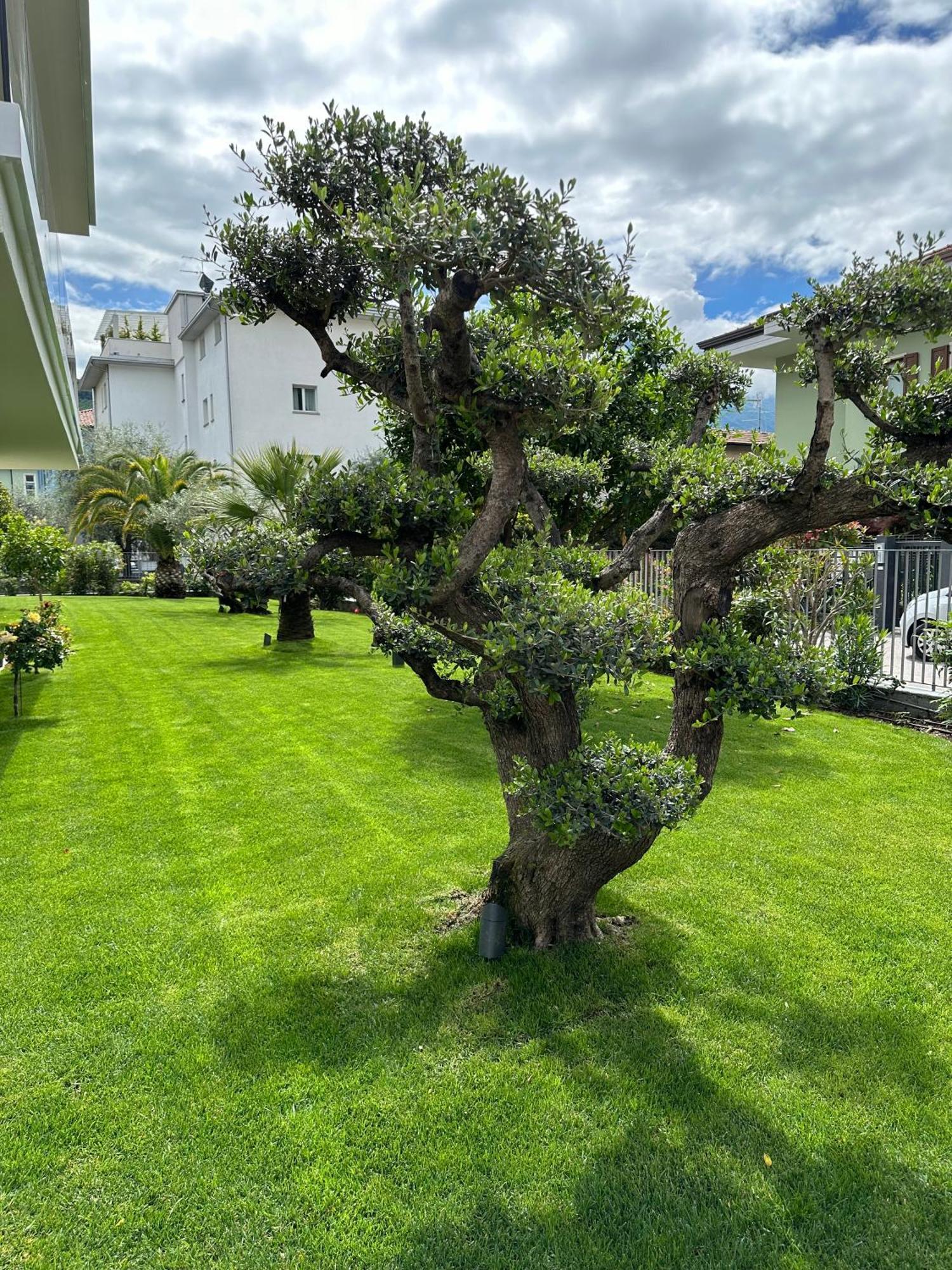Residence Villa Dalila - Appartamento Dalila Riva del Garda Bagian luar foto