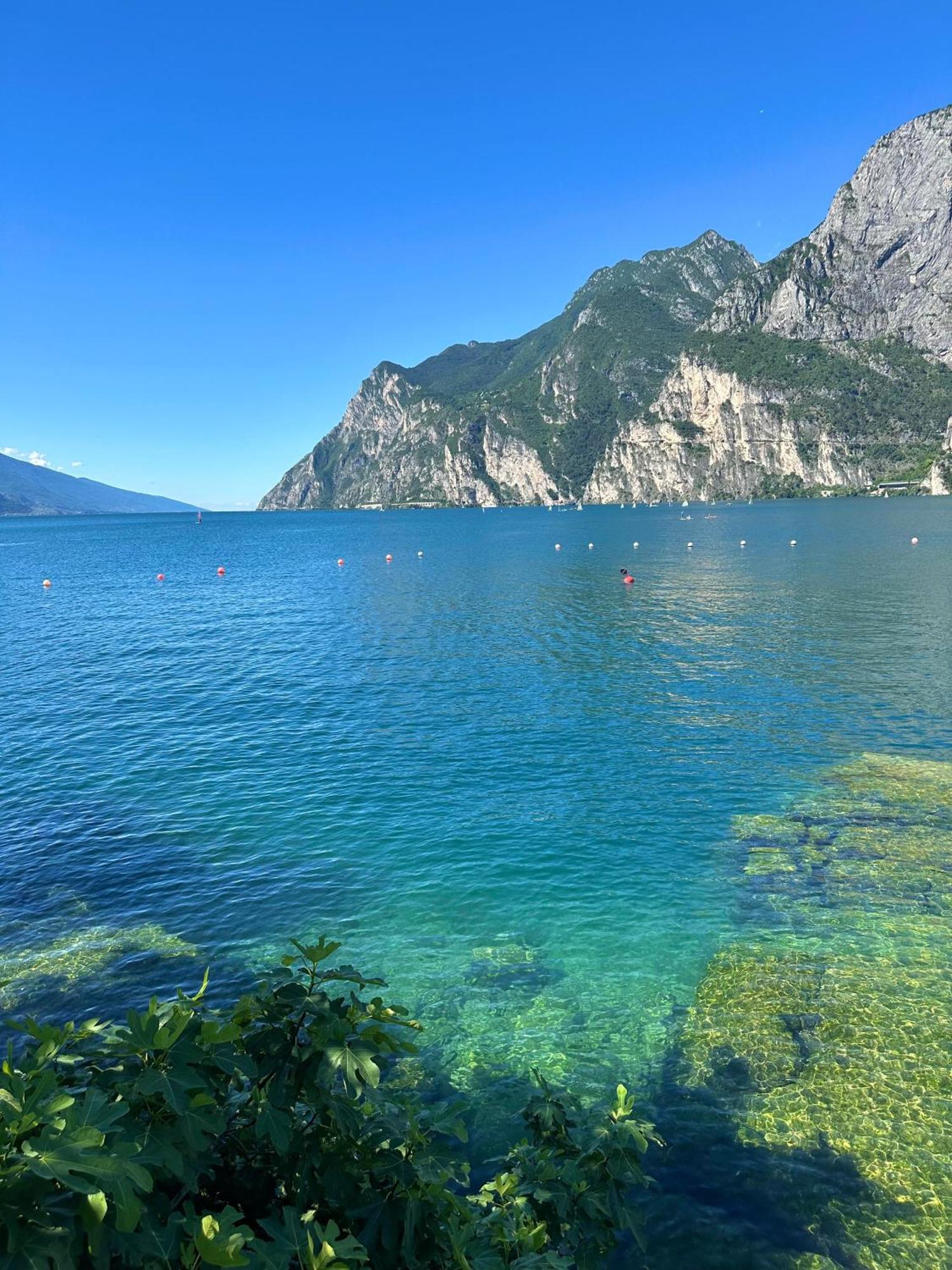 Residence Villa Dalila - Appartamento Dalila Riva del Garda Bagian luar foto